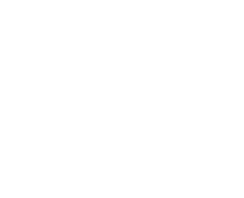 roofs restored and faithful gutters